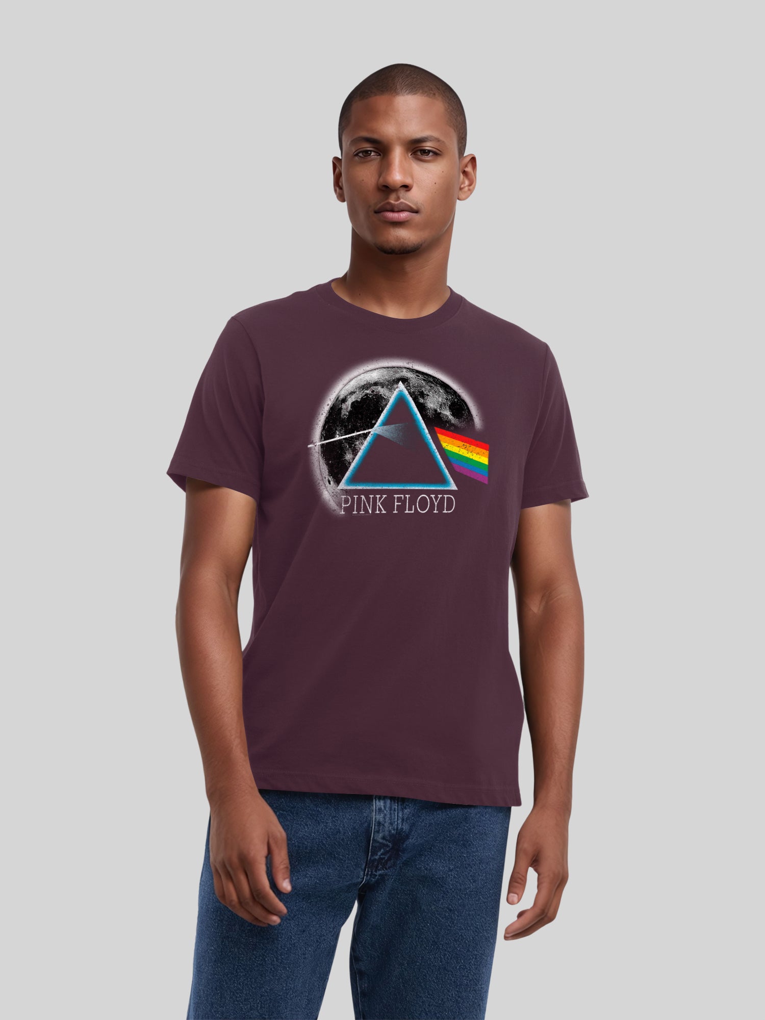 Pink Floyd Dark Side of The Moon Distressed Moon with True Blanks | Mens Regular Tee