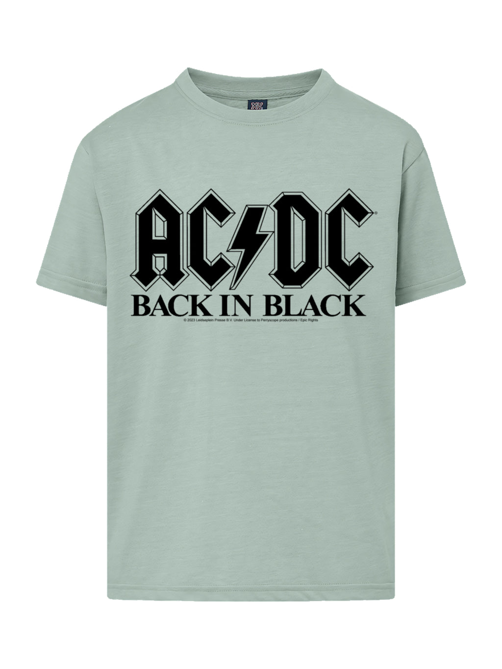 AC/DC Back In Black Logo with Youth Buddy Tee