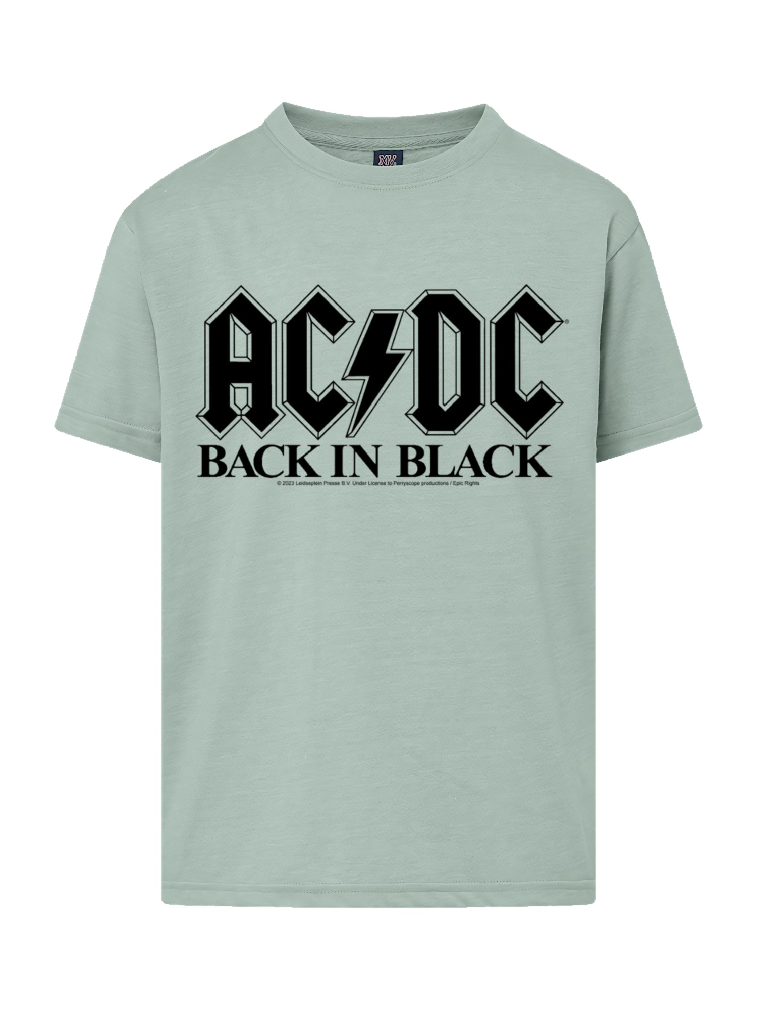 AC/DC Back In Black Logo with Youth Buddy Tee