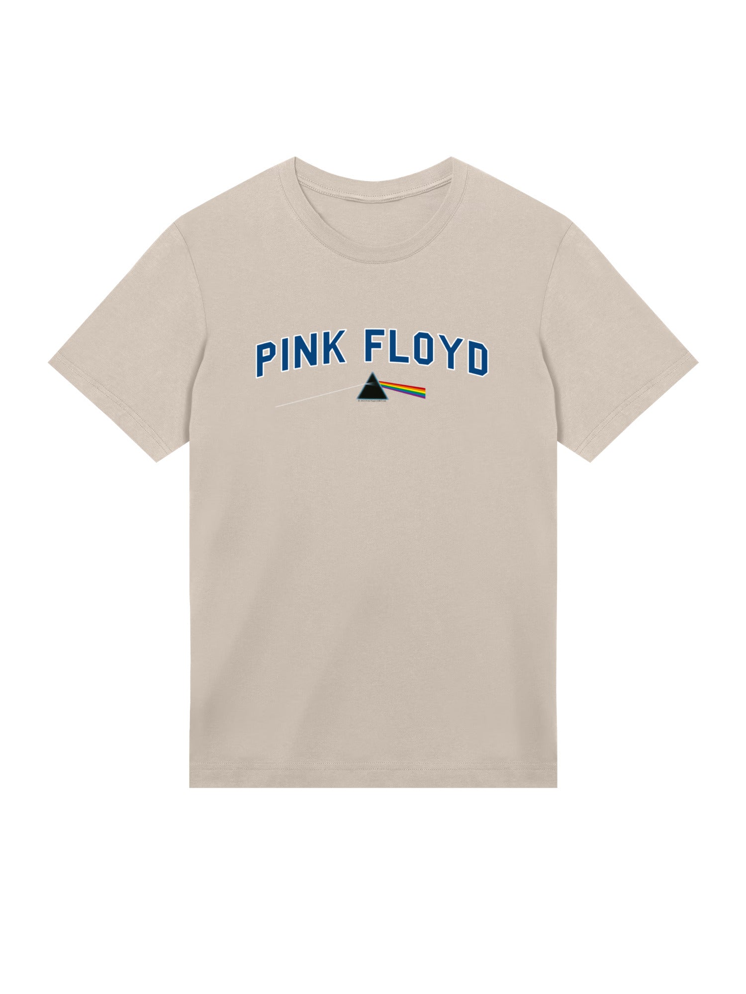 Pink Floyd College Prism with True Blanks | Mens Regular Tee