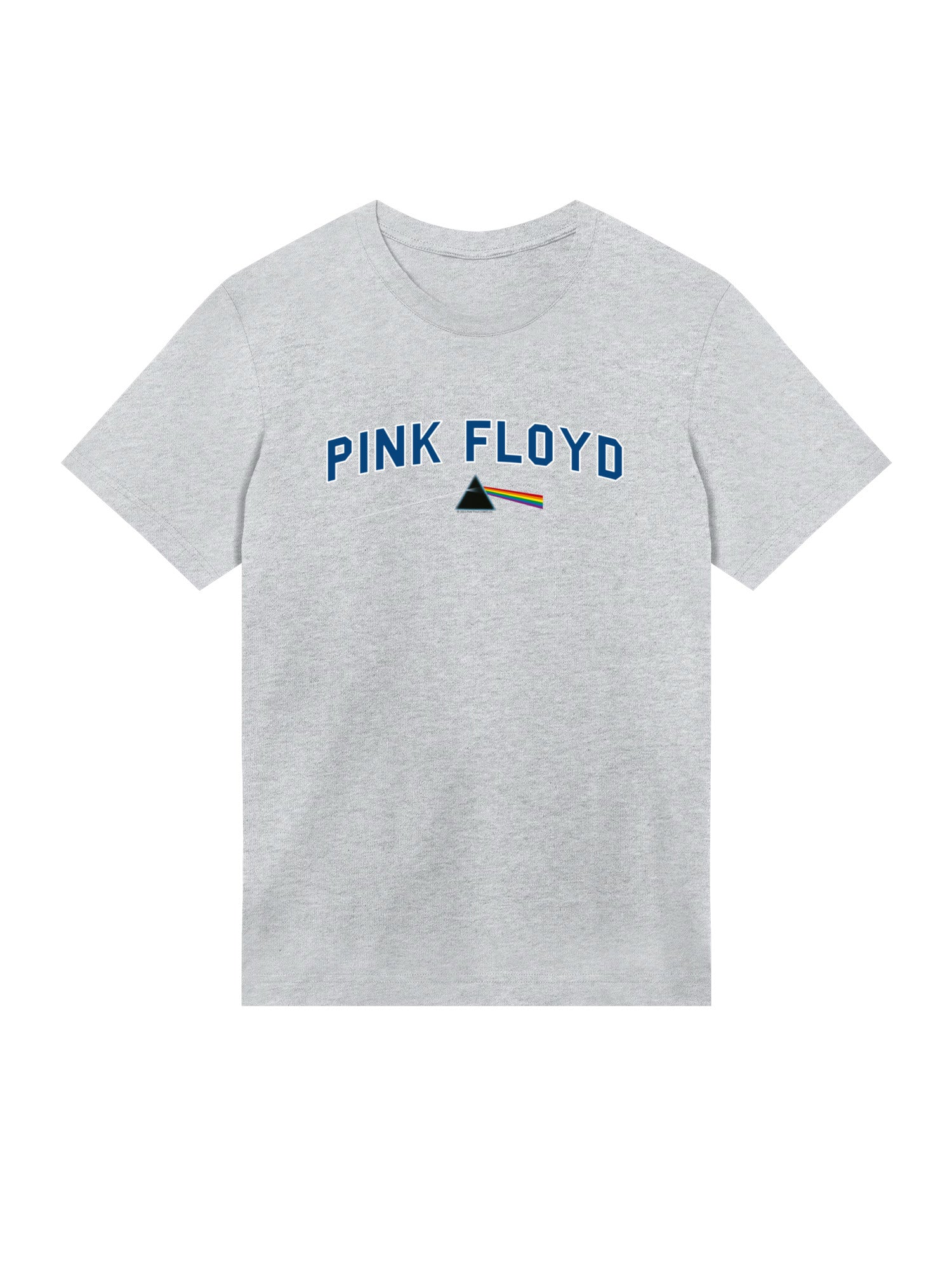 Pink Floyd College Prism with True Blanks | Mens Regular Tee