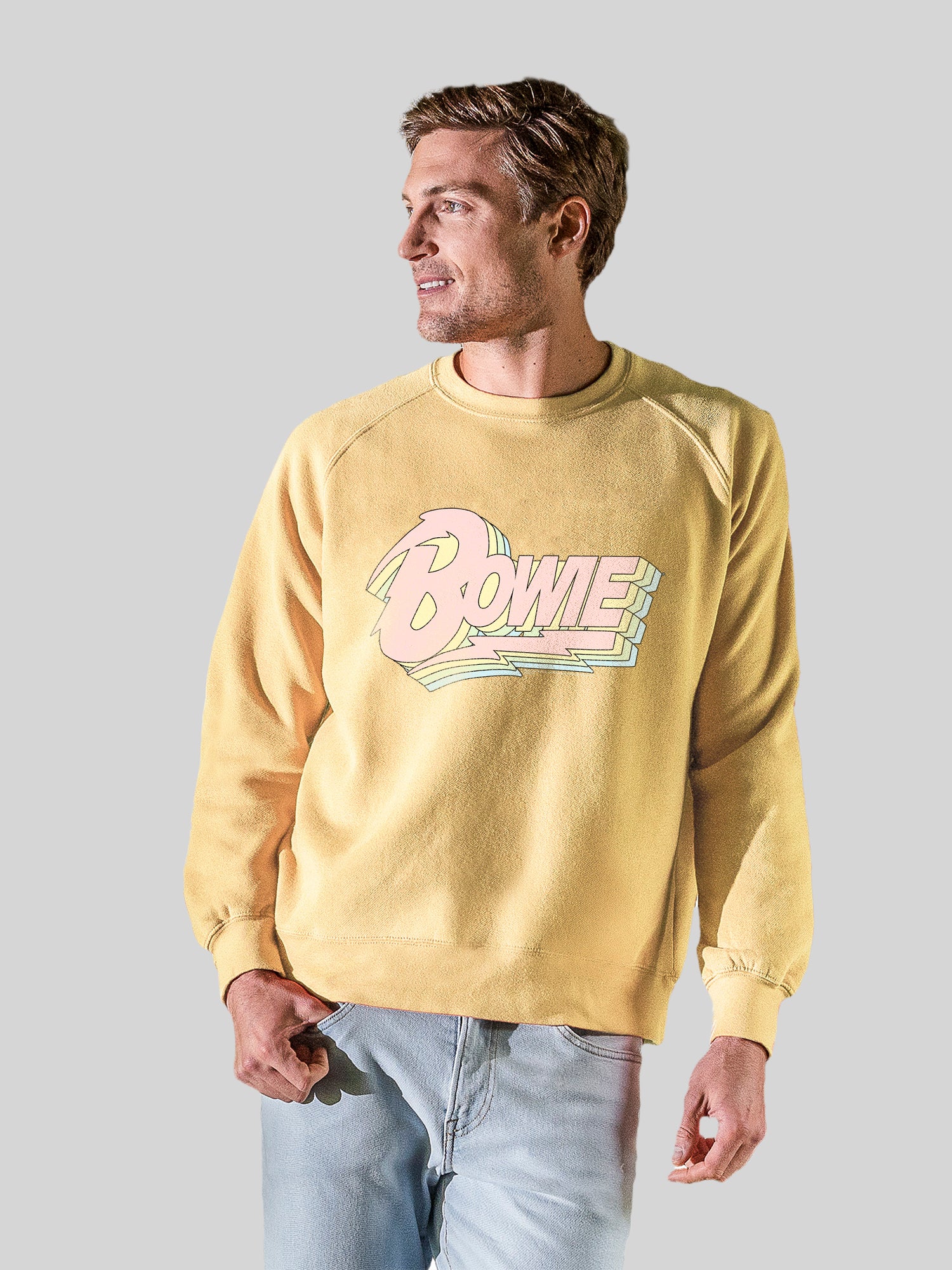 David Bowie Pastel Bowie avec l'équipage de la toison vintage Raglan
