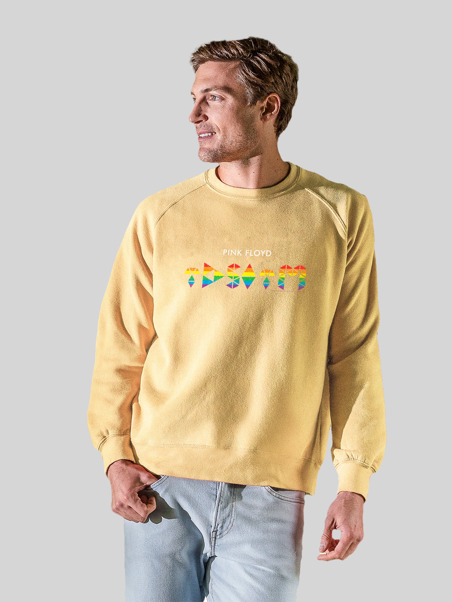 Pink Floyd TDSOTM Rainbow avec l'équipage de la toison vintage Raglan