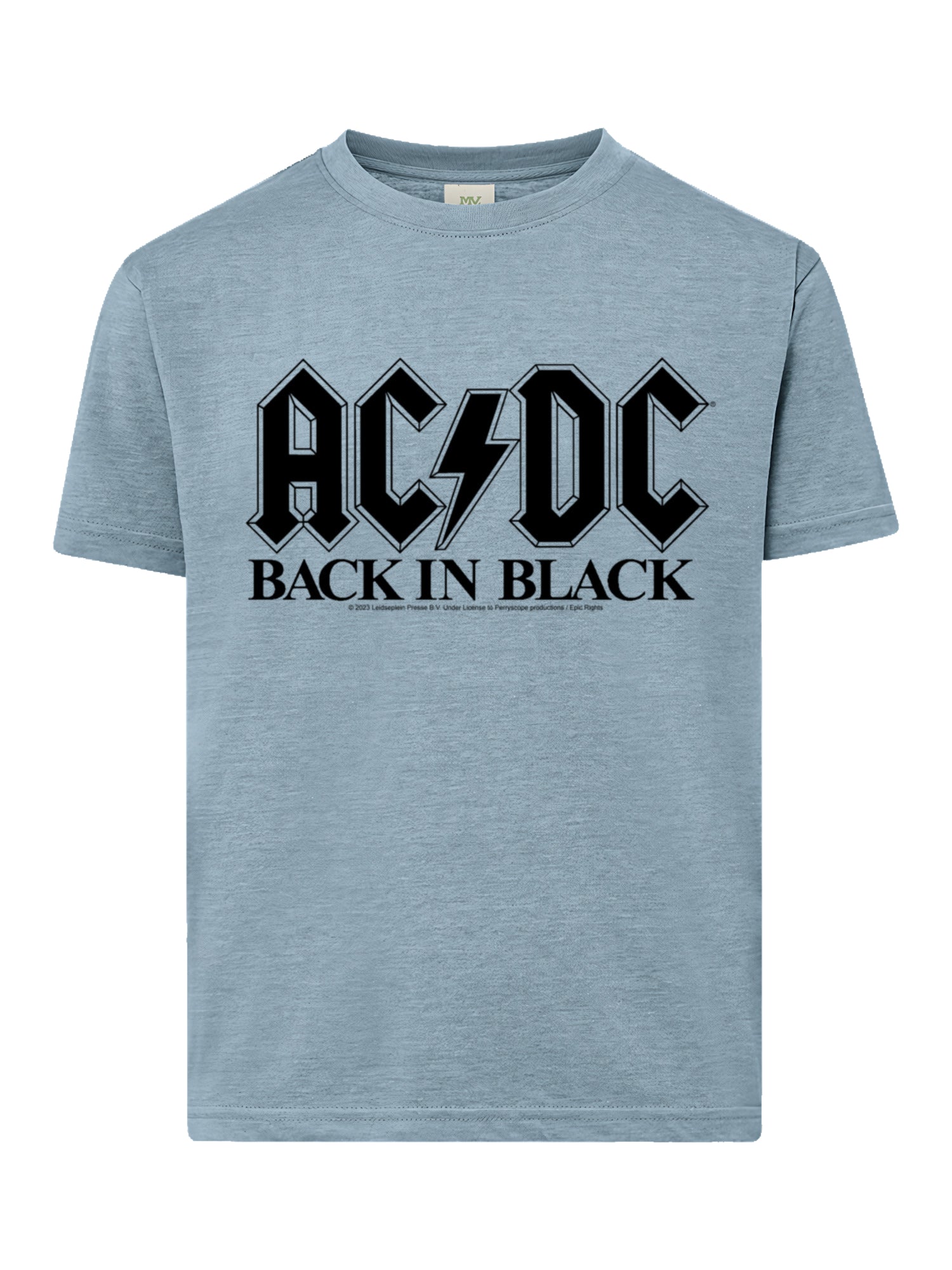 AC/DC Back In Black Logo with Youth Buddy Tee