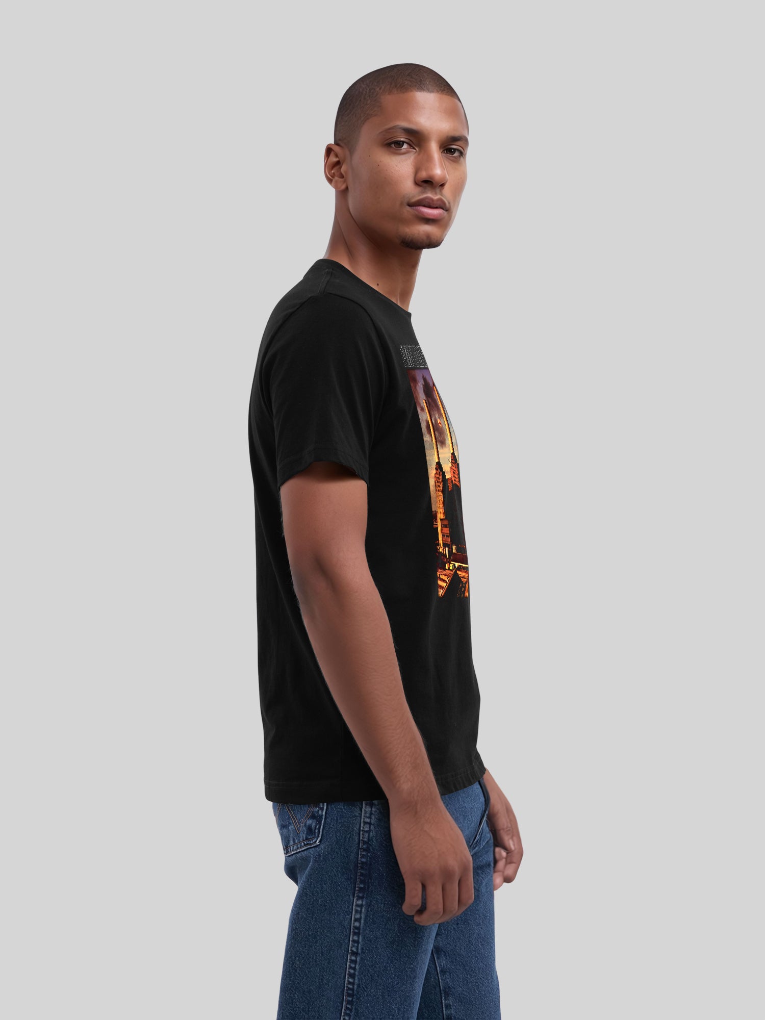 Pink Floyd Animal Cover Men's Organic T-shirt