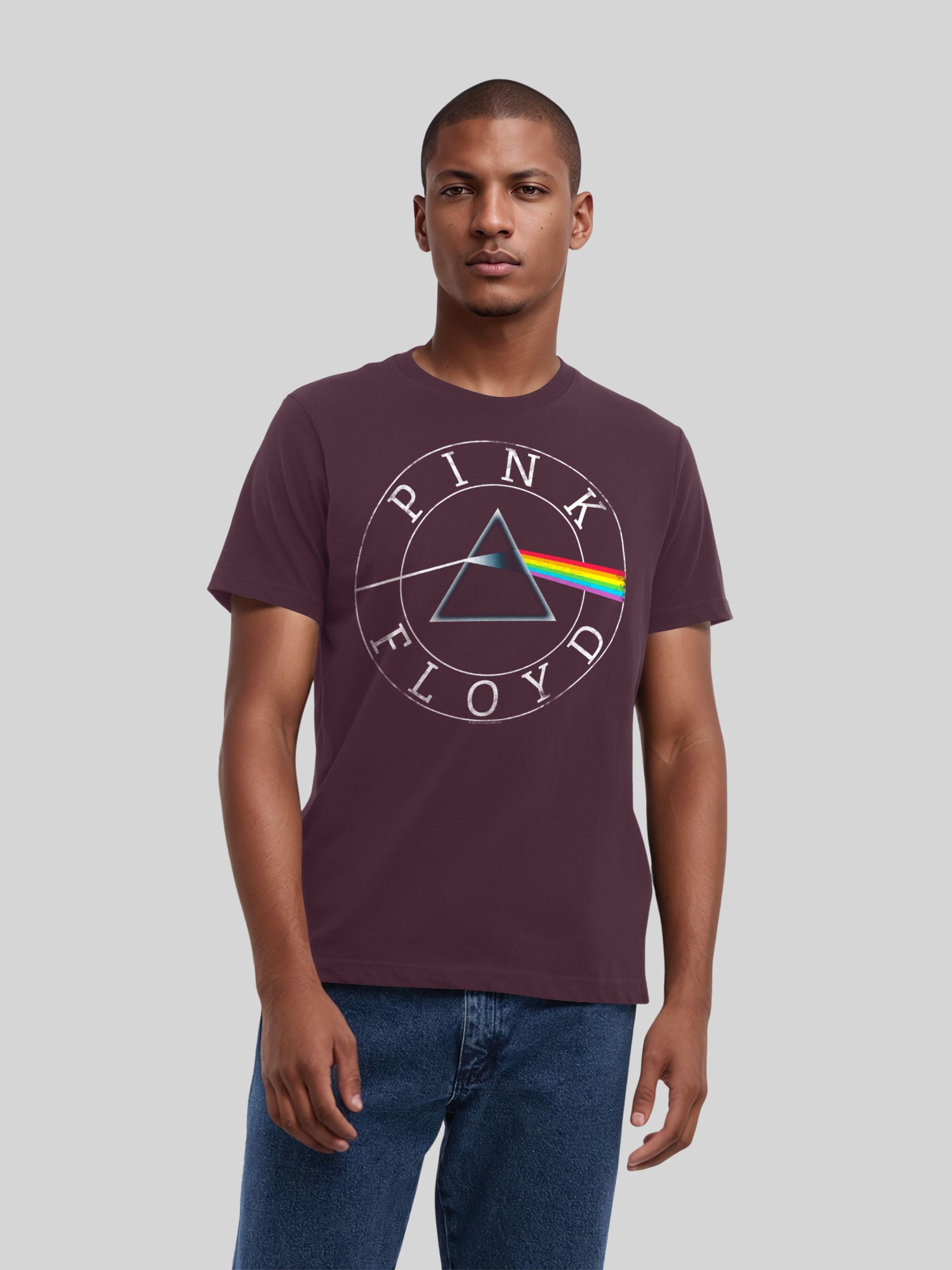 Pink Floyd Prism Circle Logo with True Blanks | Mens Regular Tee