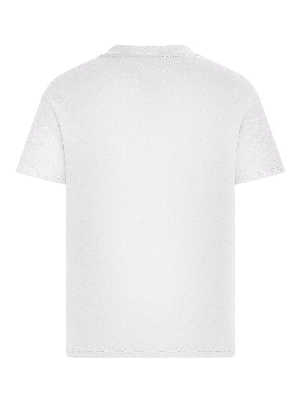 Regenbogenschildkröte T-Shirt