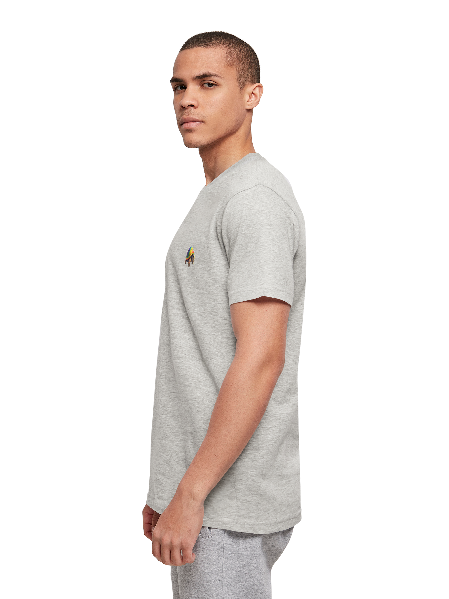 Regenbogenschildkröte T-Shirt