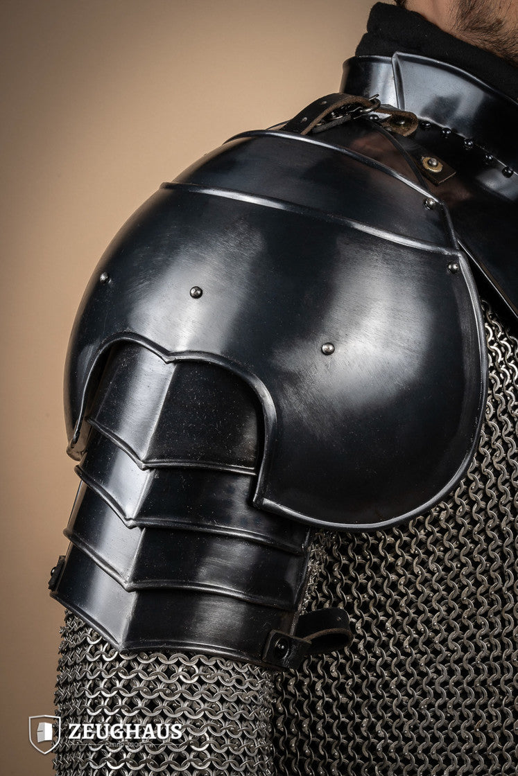 \"Pauldron Caballero Pulido\"