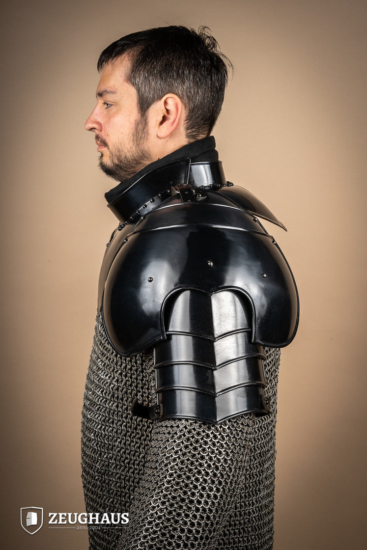 \"Pauldron Caballero Pulido\"