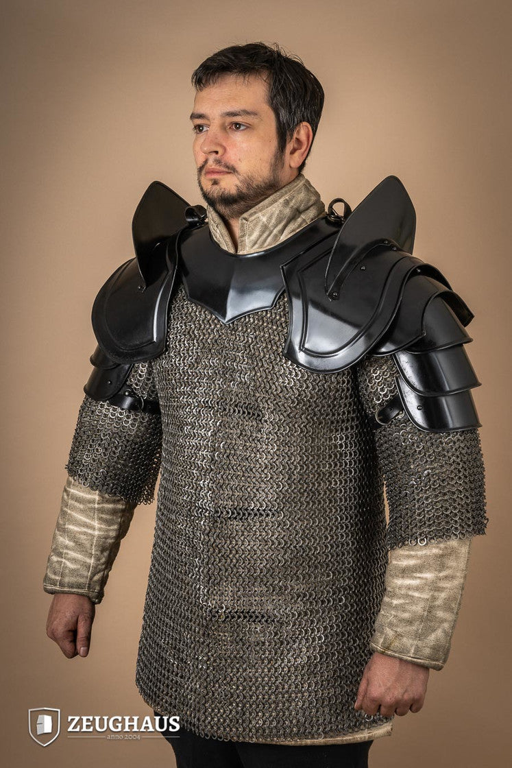 Hombreras de guerrero con rompehojas bruñidas.